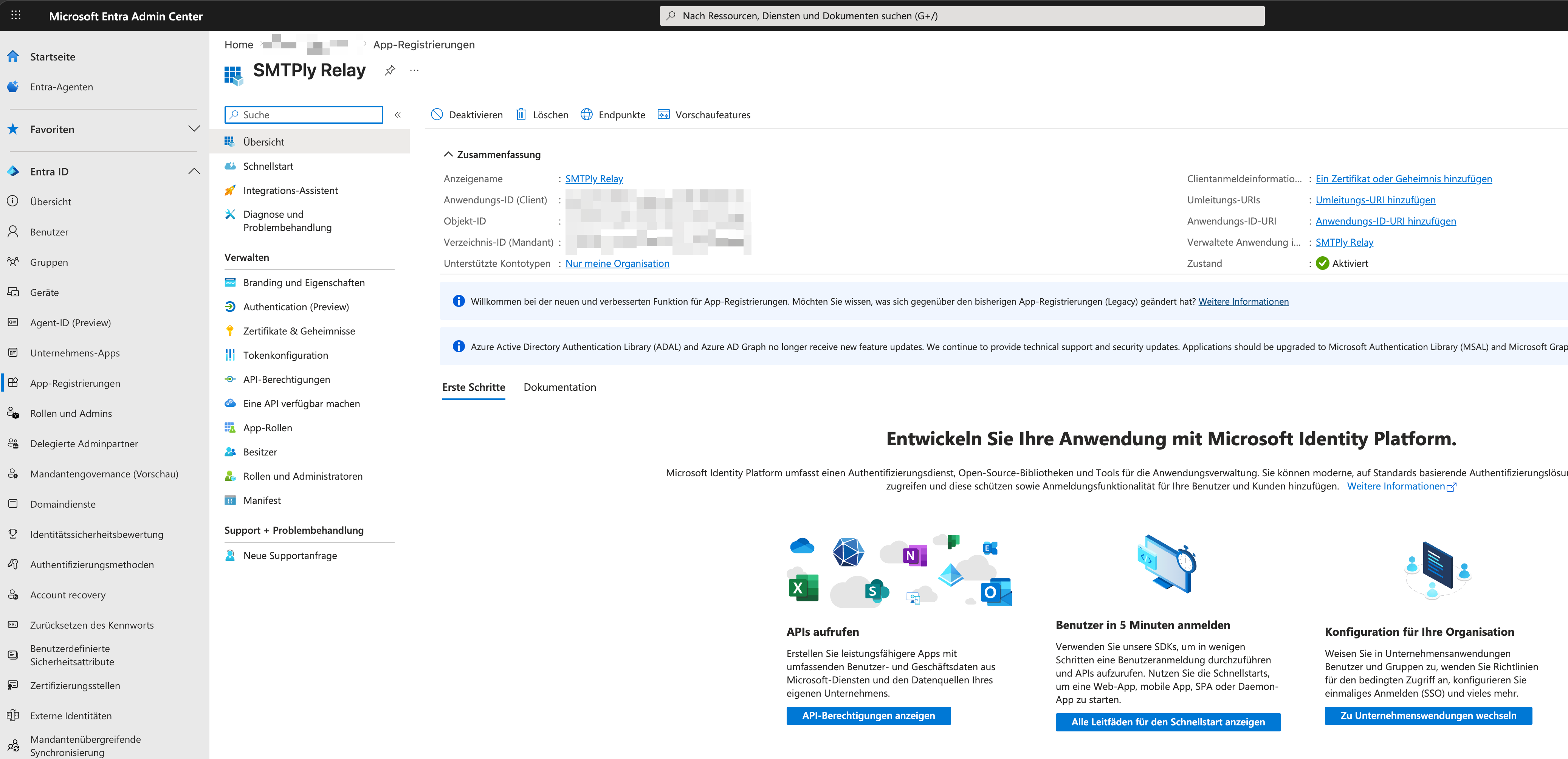 App overview page showing Application (client) ID and Directory (tenant) ID